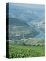 Vineyards Near Pinhao, Douro Region, Portugal, Europe-Harding Robert-Stretched Canvas