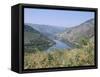 Vineyards Near Pinhao, Douro Region, Portugal-R H Productions-Framed Stretched Canvas