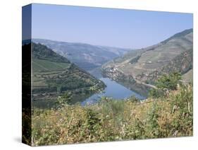 Vineyards Near Pinhao, Douro Region, Portugal-R H Productions-Stretched Canvas