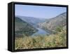 Vineyards Near Pinhao, Douro Region, Portugal-R H Productions-Framed Stretched Canvas