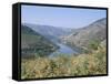 Vineyards Near Pinhao, Douro Region, Portugal-R H Productions-Framed Stretched Canvas