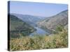 Vineyards Near Pinhao, Douro Region, Portugal-R H Productions-Stretched Canvas