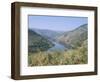 Vineyards Near Pinhao, Douro Region, Portugal-R H Productions-Framed Photographic Print