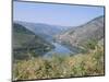 Vineyards Near Pinhao, Douro Region, Portugal-R H Productions-Mounted Photographic Print