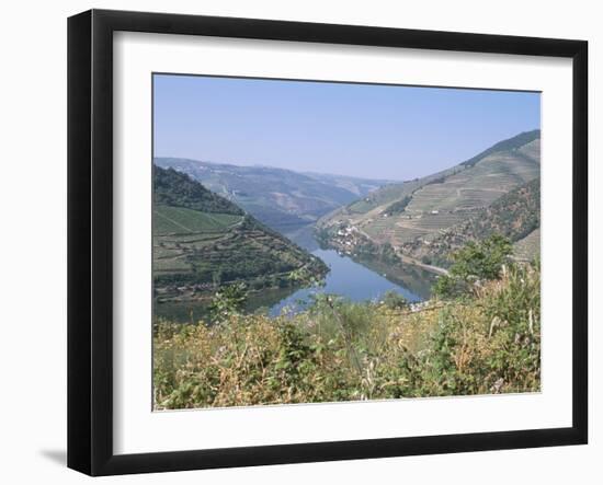 Vineyards Near Pinhao, Douro Region, Portugal-R H Productions-Framed Photographic Print