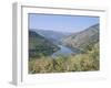 Vineyards Near Pinhao, Douro Region, Portugal-R H Productions-Framed Photographic Print