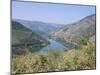 Vineyards Near Pinhao, Douro Region, Portugal-R H Productions-Mounted Photographic Print