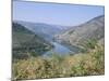 Vineyards Near Pinhao, Douro Region, Portugal-R H Productions-Mounted Photographic Print