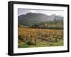 Vineyards Near Roquebrun Sur Argens, Var, Provence, France-Michael Busselle-Framed Photographic Print