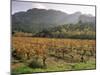 Vineyards Near Roquebrun Sur Argens, Var, Provence, France-Michael Busselle-Mounted Photographic Print