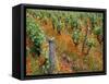 Vineyards Near Sauterne, Gironde, Aquitaine, France-Michael Busselle-Framed Stretched Canvas