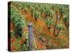 Vineyards Near Sauterne, Gironde, Aquitaine, France-Michael Busselle-Stretched Canvas