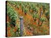 Vineyards Near Sauterne, Gironde, Aquitaine, France-Michael Busselle-Stretched Canvas
