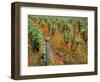 Vineyards Near Sauterne, Gironde, Aquitaine, France-Michael Busselle-Framed Photographic Print