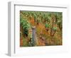 Vineyards Near Sauterne, Gironde, Aquitaine, France-Michael Busselle-Framed Photographic Print