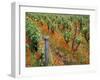 Vineyards Near Sauterne, Gironde, Aquitaine, France-Michael Busselle-Framed Photographic Print