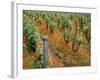 Vineyards Near Sauterne, Gironde, Aquitaine, France-Michael Busselle-Framed Photographic Print