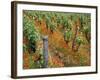 Vineyards Near Sauterne, Gironde, Aquitaine, France-Michael Busselle-Framed Photographic Print