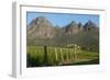 Vineyards Near Stellenbosch in the Western Cape, South Africa, Africa-Alex Treadway-Framed Photographic Print