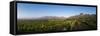 Vineyards Near Stellenbosch in the Western Cape, South Africa, Africa-Alex Treadway-Framed Stretched Canvas