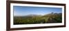 Vineyards Near Stellenbosch in the Western Cape, South Africa, Africa-Alex Treadway-Framed Photographic Print