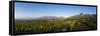 Vineyards Near Stellenbosch in the Western Cape, South Africa, Africa-Alex Treadway-Framed Stretched Canvas