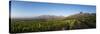 Vineyards Near Stellenbosch in the Western Cape, South Africa, Africa-Alex Treadway-Stretched Canvas