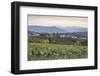 Vineyards near to Caldaro, South Tyrol, Italy, Europe-Julian Elliott-Framed Photographic Print