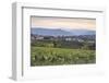 Vineyards near to Caldaro, South Tyrol, Italy, Europe-Julian Elliott-Framed Photographic Print