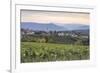 Vineyards near to Caldaro, South Tyrol, Italy, Europe-Julian Elliott-Framed Photographic Print
