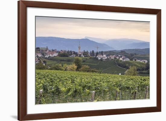 Vineyards near to Caldaro, South Tyrol, Italy, Europe-Julian Elliott-Framed Photographic Print