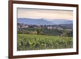 Vineyards near to Caldaro, South Tyrol, Italy, Europe-Julian Elliott-Framed Photographic Print