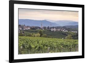 Vineyards near to Caldaro, South Tyrol, Italy, Europe-Julian Elliott-Framed Photographic Print