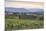 Vineyards near to Caldaro, South Tyrol, Italy, Europe-Julian Elliott-Mounted Photographic Print