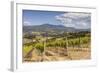 Vineyards Near to Montalcino, Val D'Orcia, UNESCO World Heritage Site, Tuscany, Italy, Europe-Julian Elliott-Framed Photographic Print