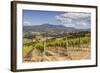 Vineyards Near to Montalcino, Val D'Orcia, UNESCO World Heritage Site, Tuscany, Italy, Europe-Julian Elliott-Framed Photographic Print