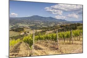 Vineyards Near to Montalcino, Val D'Orcia, UNESCO World Heritage Site, Tuscany, Italy, Europe-Julian Elliott-Mounted Photographic Print