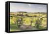 Vineyards Near to Montepulciano, Tuscany, Italy, Europe-Julian Elliott-Framed Stretched Canvas