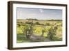 Vineyards Near to Montepulciano, Tuscany, Italy, Europe-Julian Elliott-Framed Photographic Print