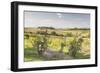 Vineyards Near to Montepulciano, Tuscany, Italy, Europe-Julian Elliott-Framed Photographic Print