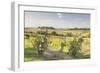 Vineyards Near to Montepulciano, Tuscany, Italy, Europe-Julian Elliott-Framed Photographic Print