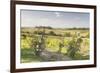 Vineyards Near to Montepulciano, Tuscany, Italy, Europe-Julian Elliott-Framed Photographic Print