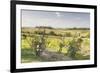 Vineyards Near to Montepulciano, Tuscany, Italy, Europe-Julian Elliott-Framed Photographic Print