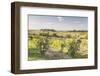 Vineyards Near to Montepulciano, Tuscany, Italy, Europe-Julian Elliott-Framed Photographic Print