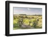 Vineyards Near to Montepulciano, Tuscany, Italy, Europe-Julian Elliott-Framed Photographic Print