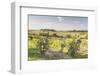 Vineyards Near to Montepulciano, Tuscany, Italy, Europe-Julian Elliott-Framed Photographic Print