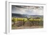 Vineyards Near to Montepulciano, Val D'Orcia, UNESCO World Heritage Site, Tuscany, Italy, Europe-Julian Elliott-Framed Photographic Print