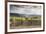 Vineyards Near to Montepulciano, Val D'Orcia, UNESCO World Heritage Site, Tuscany, Italy, Europe-Julian Elliott-Framed Photographic Print