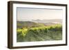 Vineyards near to Orveito, Umbria, Italy, Europe-Julian Elliott-Framed Photographic Print