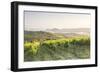 Vineyards near to Orveito, Umbria, Italy, Europe-Julian Elliott-Framed Photographic Print